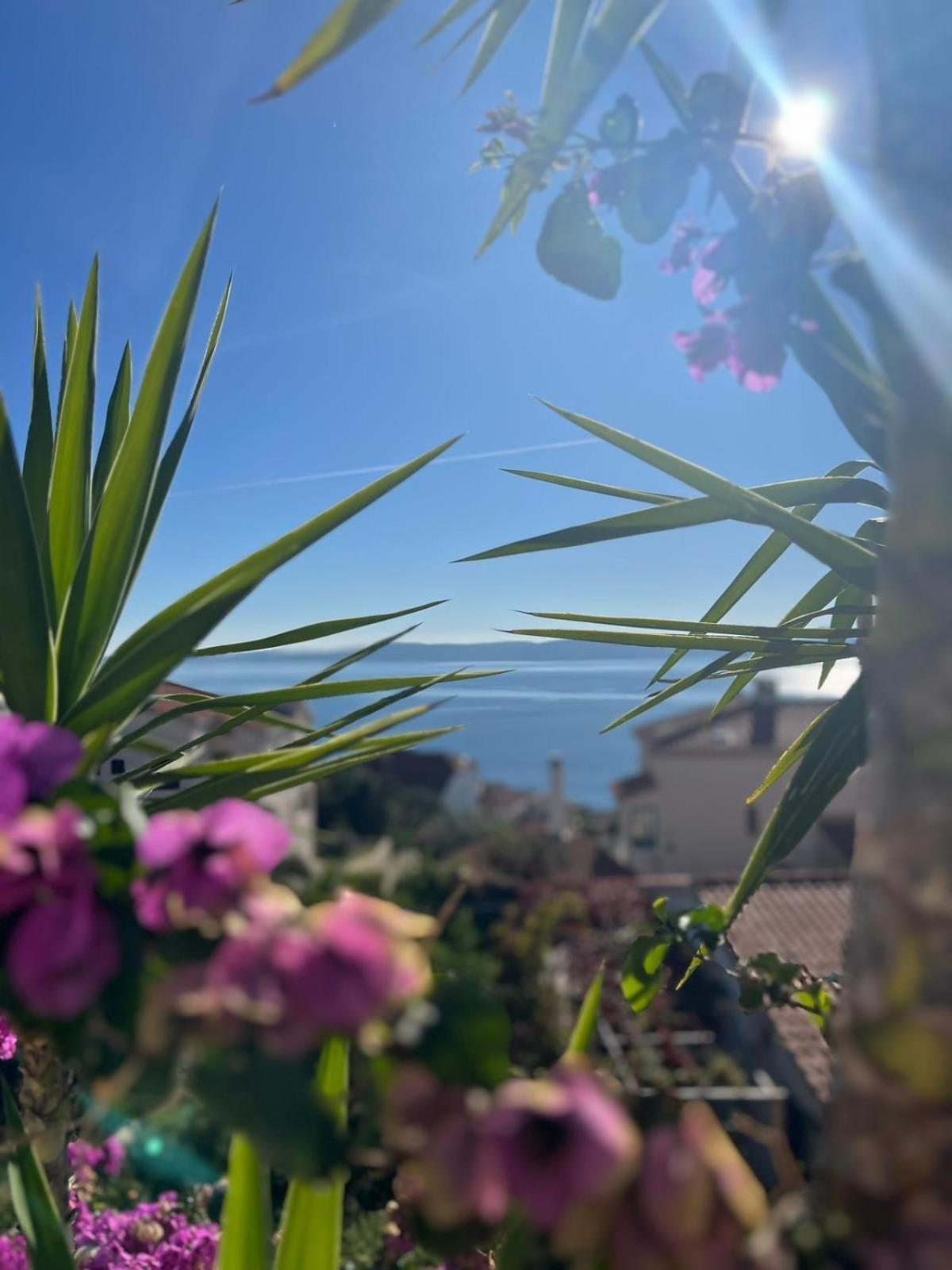 Trogir Ciovo Big Seaview Apartment Near The Sea מראה חיצוני תמונה